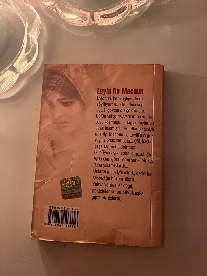 Leyla ile Mecnun - Şeref Yılmaz - Görsel 2