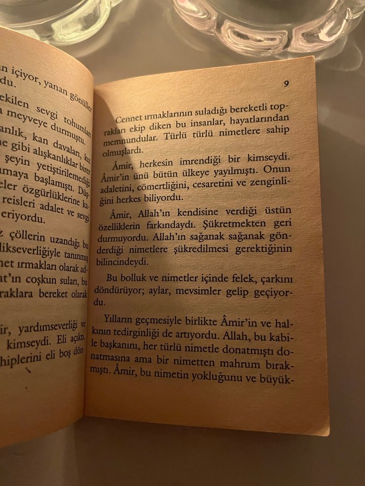 Leyla ile Mecnun - Şeref Yılmaz - Görsel 5