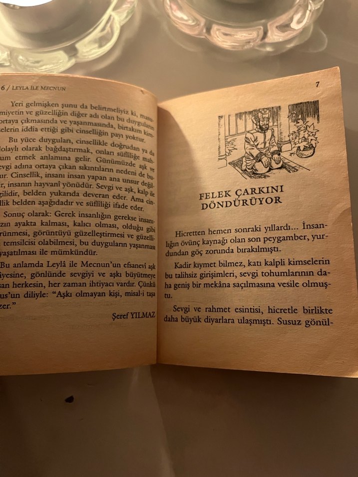 Leyla ile Mecnun - Şeref Yılmaz - Görsel 3