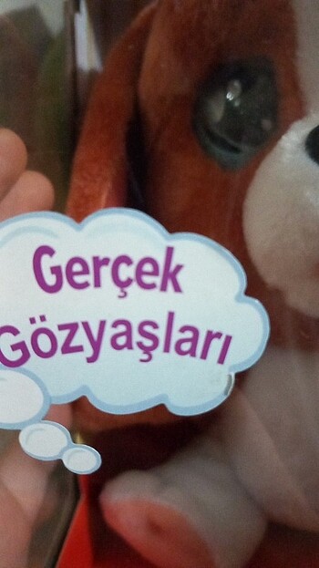 Beden Renk Emotion pets