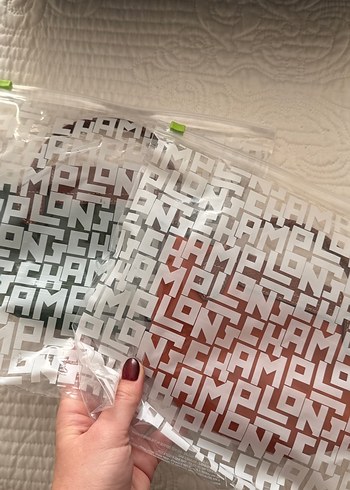 LONGCHAMP orijinal Fermuarlı Kadın El Çantası xs - Görsel 5