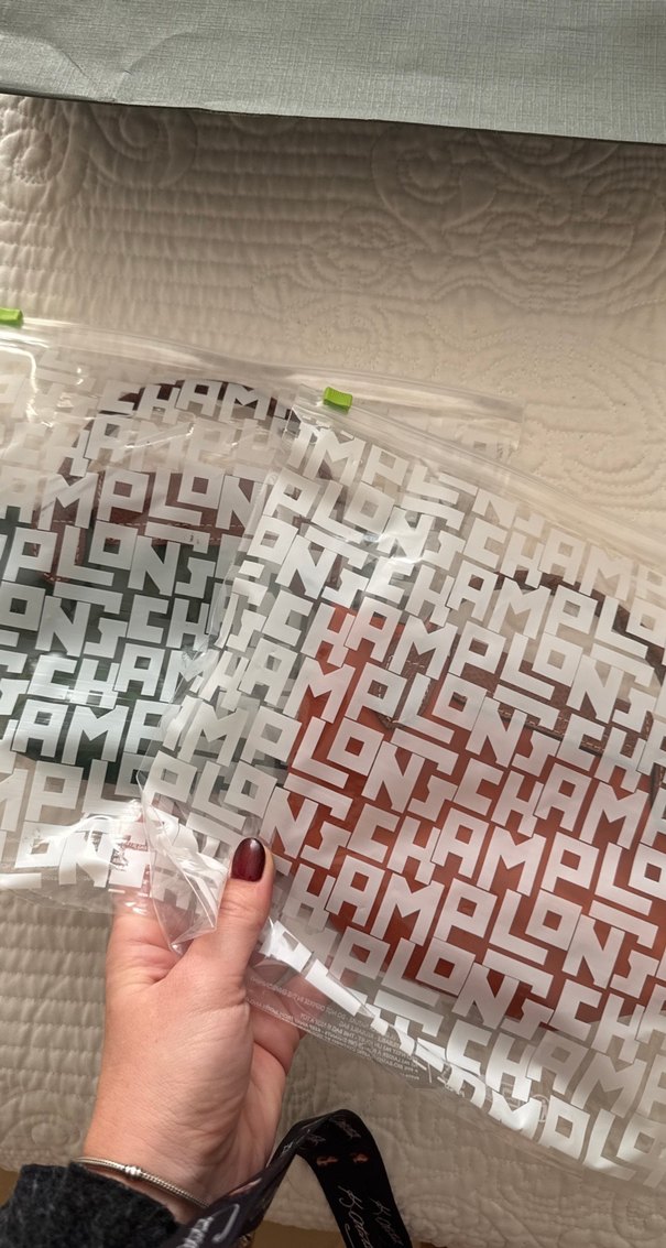 LONGCHAMP orijinal Fermuarlı Kadın El Çantası xs - Görsel 5