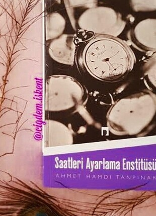 Saatleri ayarlama enstitusu