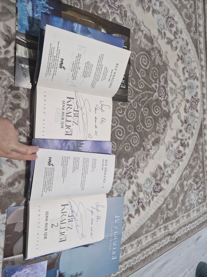 Buz Krallığı Serisi 4 Kitap Seti - Görsel 2