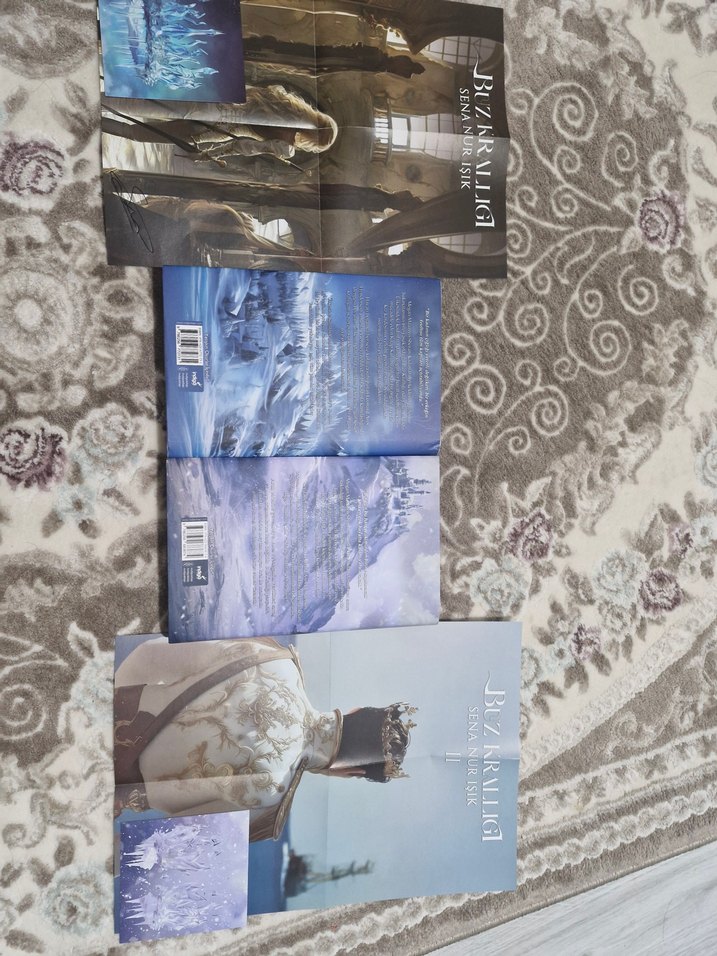 Buz Krallığı Serisi 4 Kitap Seti - Görsel 3