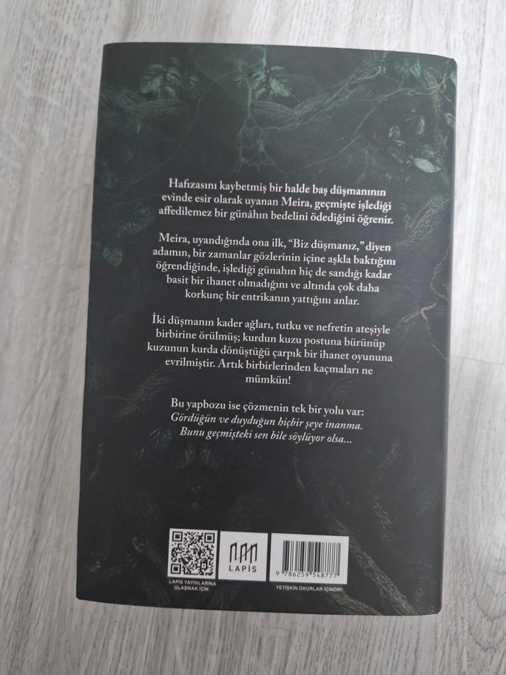 Lilith'in Gözyaşları - Anna Tsintsadze - Görsel 2