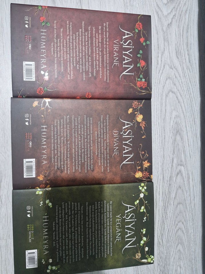 Humeyra Asiyan Üçlü Roman Seti - Görsel 2