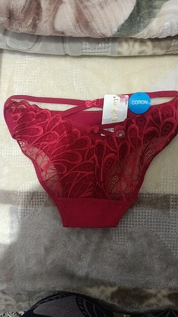 Seksi Tanga
