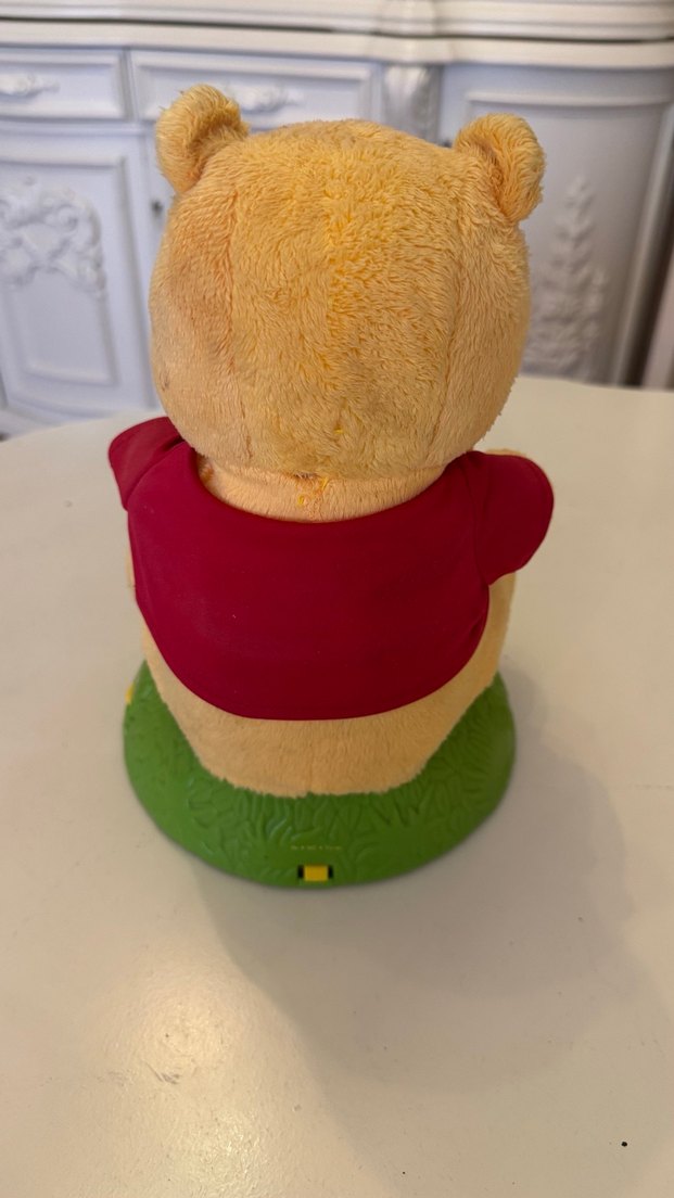 Winnie The Pooh Şarkı Söylüyor ve Masal Anlatıyor - Görsel 3