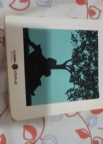  kitap