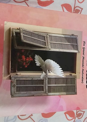  Beden Renk kitap