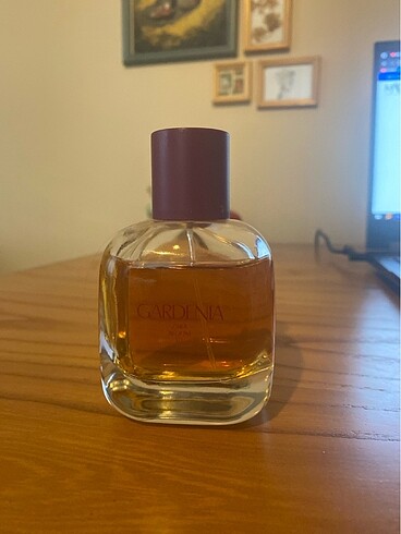 zara gardenia