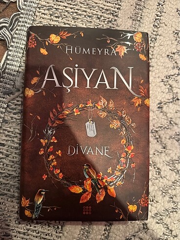 Aşiyan divane 2