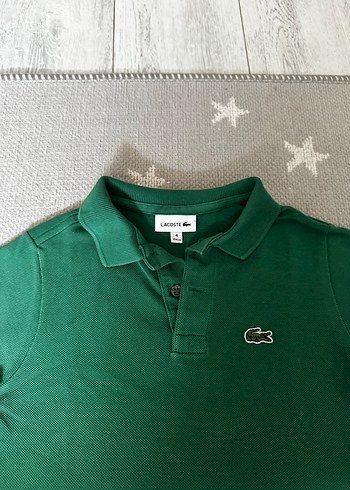 Erkek Koyu Yeşil Kısa Kollu Polo Tişört - Görsel 2