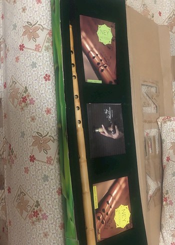 Yeşil Bambu Flüt ve Taşıma Kutusu . Kitapları - Görsel 4