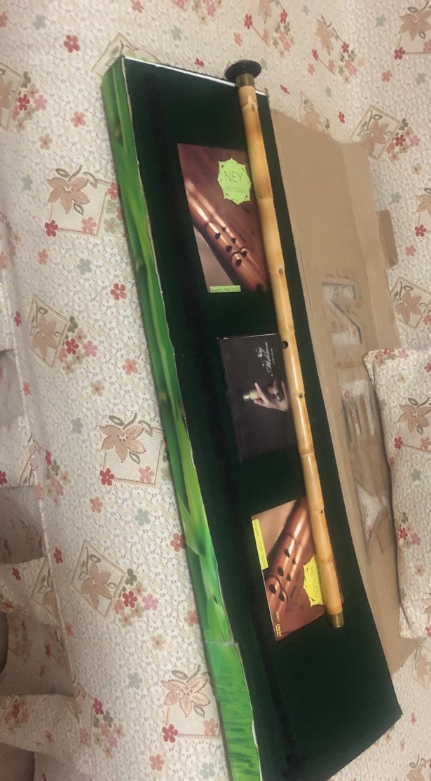 Yeşil Bambu Flüt ve Taşıma Kutusu . Kitapları - Görsel 2