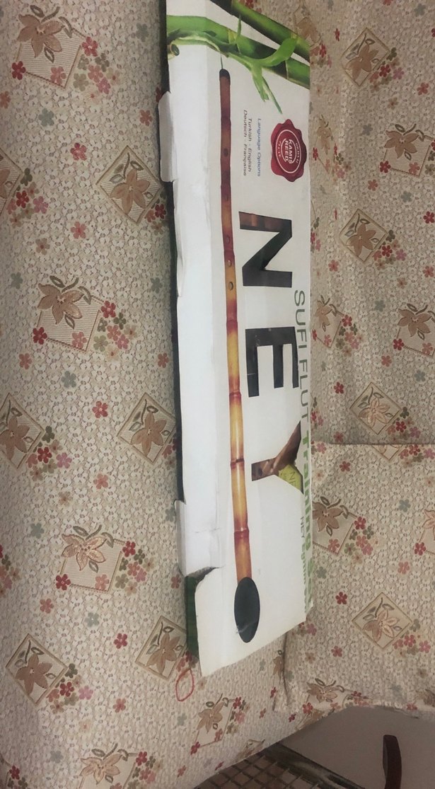 Desenli Bej Müzik Aleti( NEY) - Görsel 2