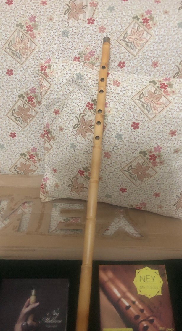 Desenli Bej Müzik Aleti( NEY) - Görsel 4