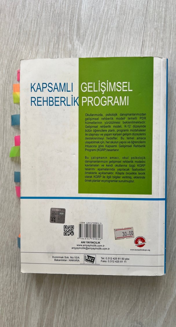 Kapsamlı Gelişimsel Rehberlik Programı Kitabı - Görsel 2