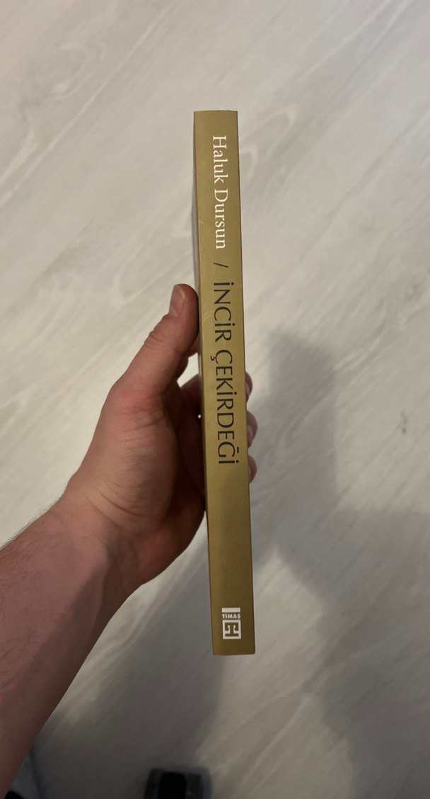 İncir Çekirdeği - Haluk Dursun - Görsel 3