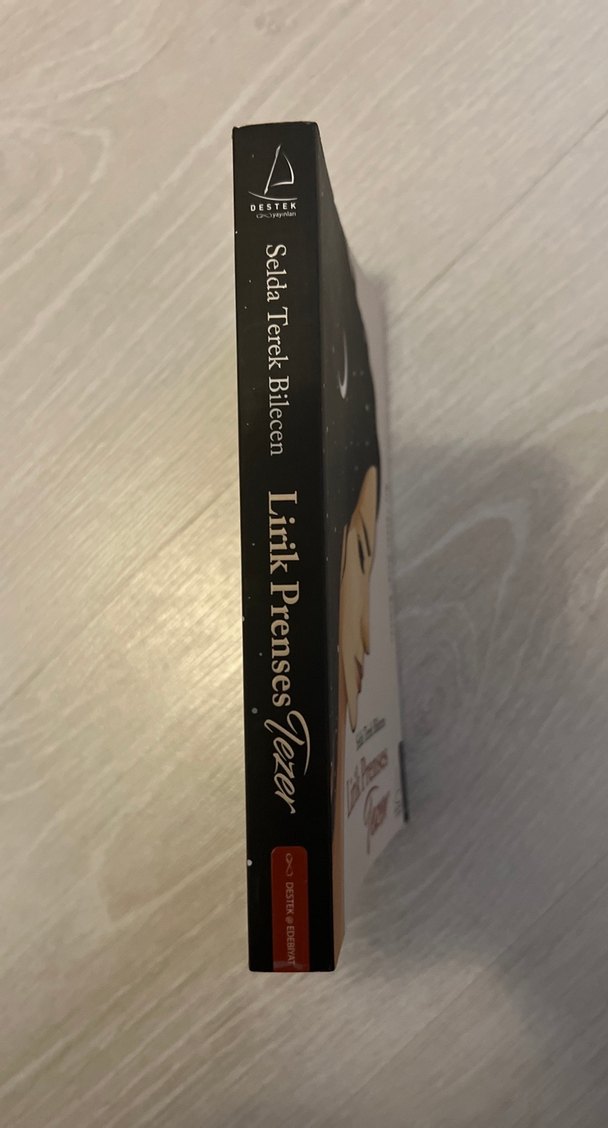 Lirik Prenses Tezer - Selda Terek Bilecen - Görsel 3