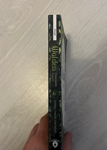 Walden Ormanda Yaşam - Henry David Thoreau - Görsel 3