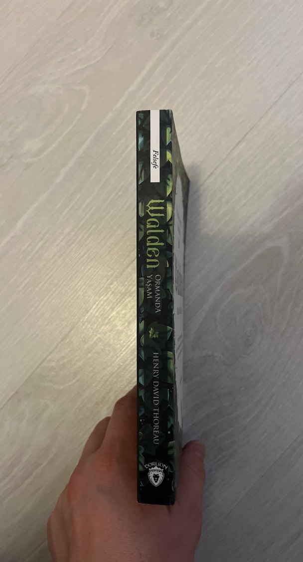 Walden Ormanda Yaşam - Henry David Thoreau - Görsel 3