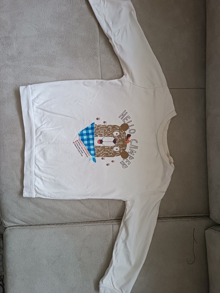 Erkek Çocuk Baskılı Pamuk Sweatshirt - Görsel 2