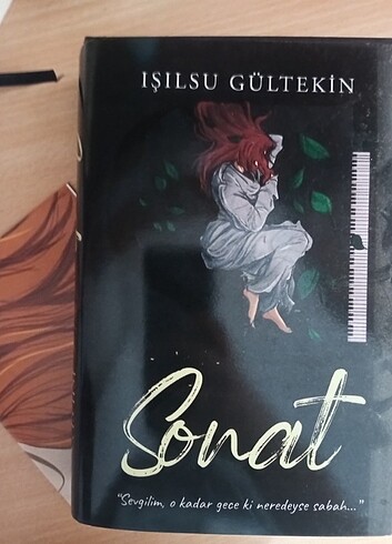 Işılsu Gültekin sonat