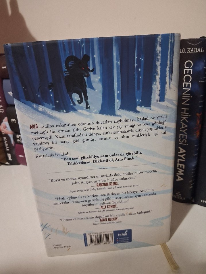 Arlo Finch Alevler Vadisi - John August - Görsel 2