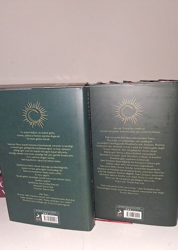 Ölü Tanrının Şarkısı - Dilara Özçelik - Görsel 2