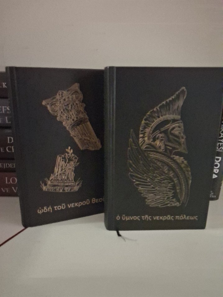 Ölü Tanrının Şarkısı - Dilara Özçelik - Görsel 4