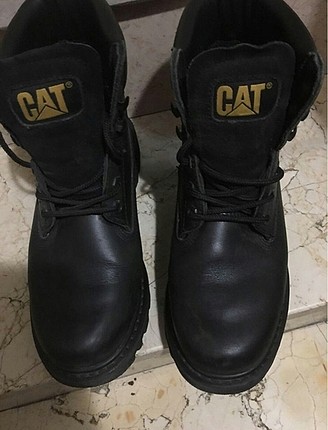 cat siyah bot