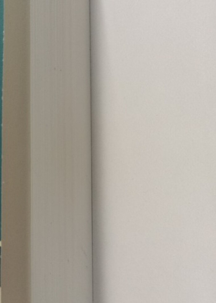 Huzursuzluğun Kitabı Fernando Pessoa Can Yayınları - Görsel 2