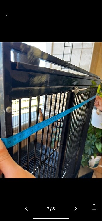 PAPAĞAN KAFESİ - Görsel 7