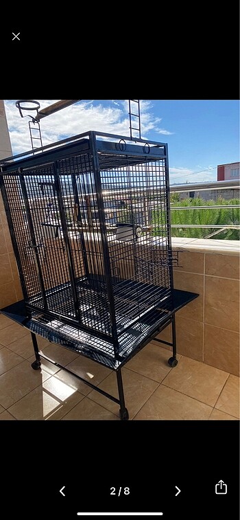 PAPAĞAN KAFESİ - Görsel 2