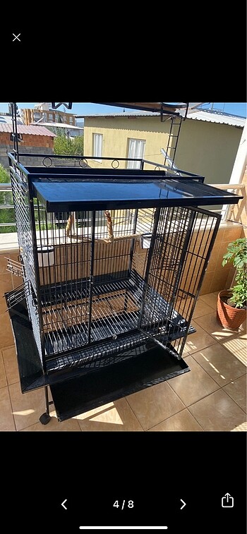 PAPAĞAN KAFESİ - Görsel 4