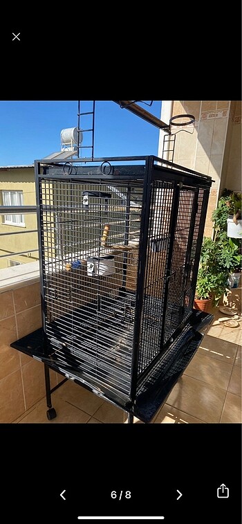 PAPAĞAN KAFESİ - Görsel 6