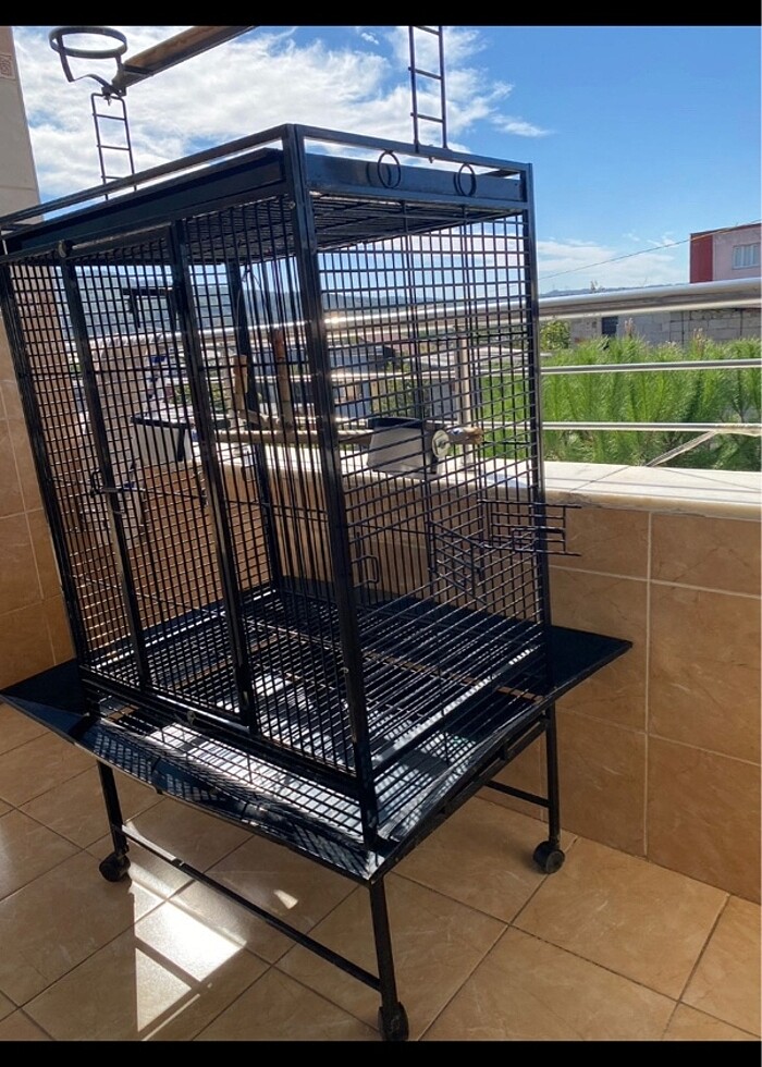 PAPAĞAN KAFESİ - Görsel 2