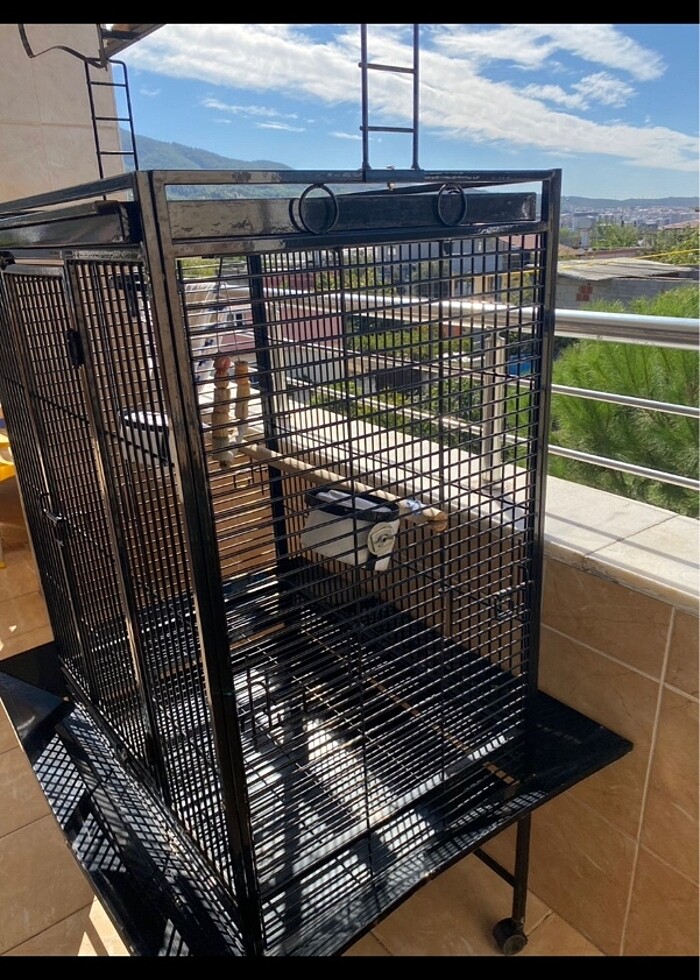 PAPAĞAN KAFESİ - Görsel 5