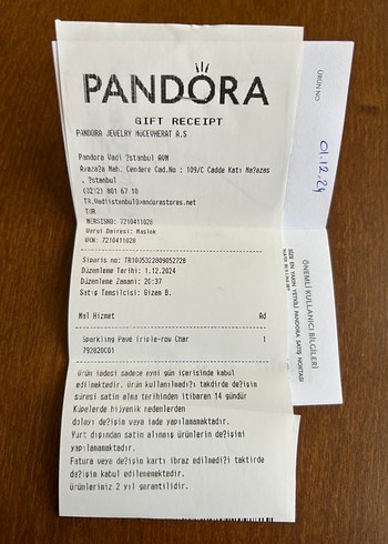 Işıltılı Pandora Charm - Görsel 4