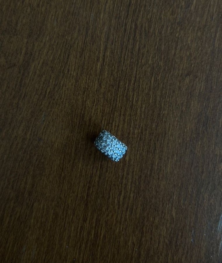 Işıltılı Pandora Charm - Görsel 3