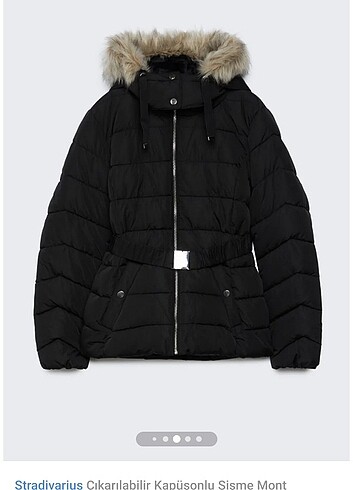 Stradivarius mont