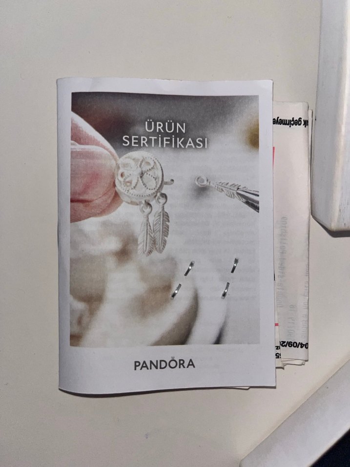 Pandora Zincir Detaylı Kadın Bileklik bi tane charm içinde - Görsel 3