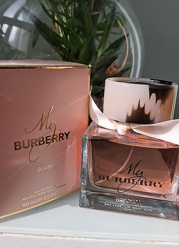 Burberry Blush 90 ml
