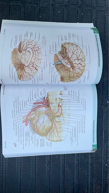 Beden Renk Netter İnsan Anatomisi Atlası 7.Baskı