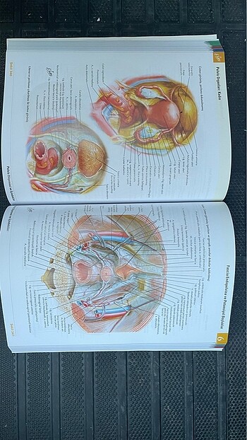Beden Netter İnsan Anatomisi Atlası 7.Baskı