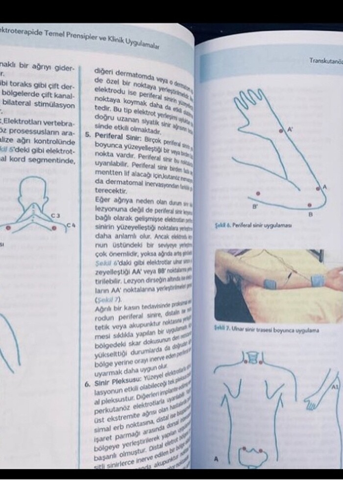 Elektroterapide Temel Prensipler ve klinik destek Uyg - Görsel 2