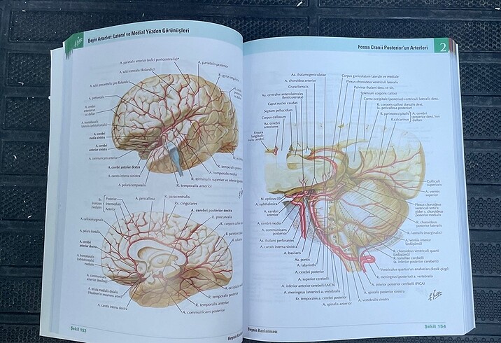 Netter İnsan Anatomi Atlası 7.baskı - Görsel 3