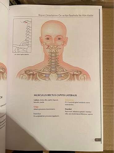 Kaslar Kitabı - Görsel 2